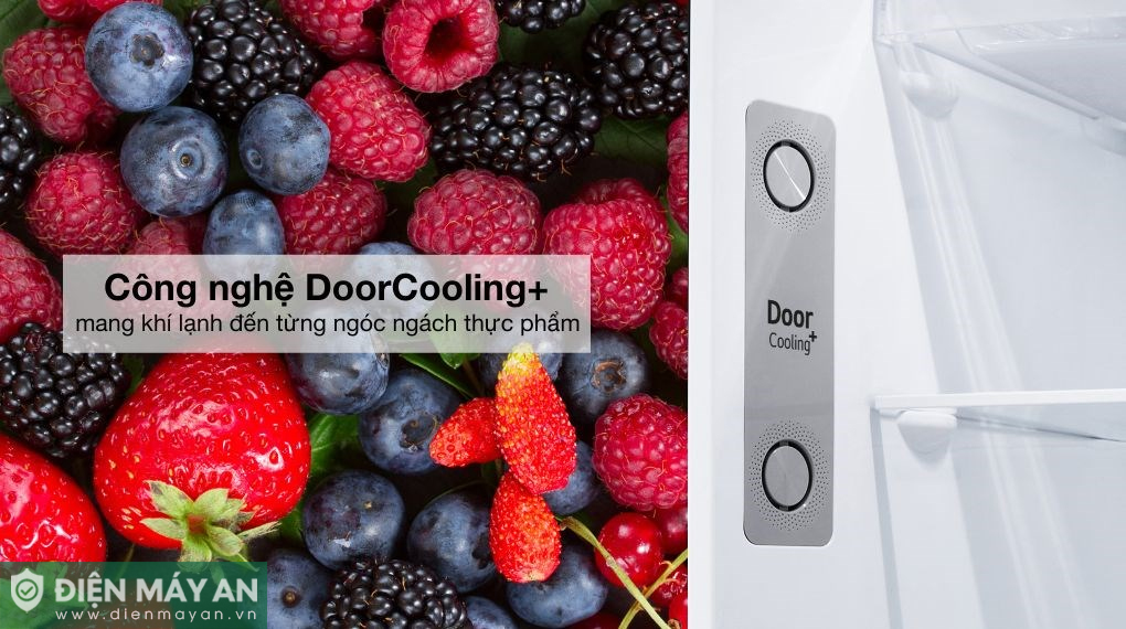Tủ lạnh LG Inverter 314 lít LTD31BLM